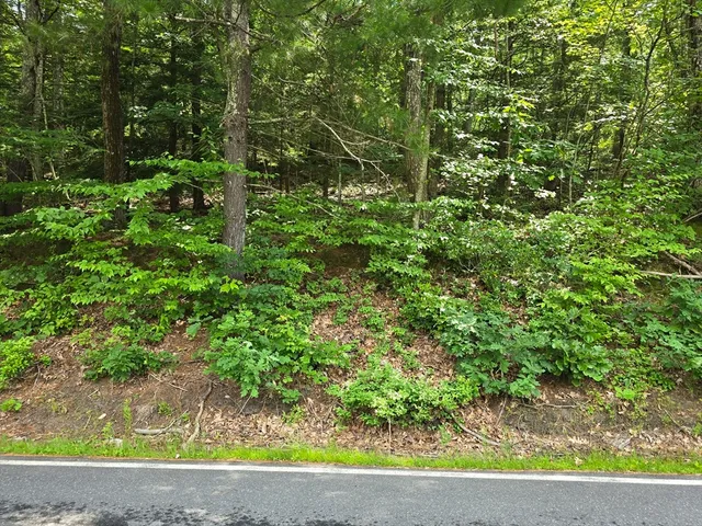 a view of a garden with a bench