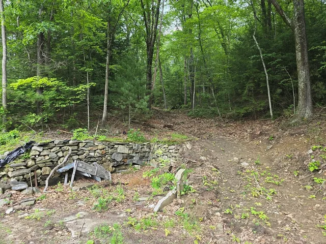 a view of outdoor space with lots of trees in it