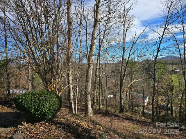 a view of a backyard