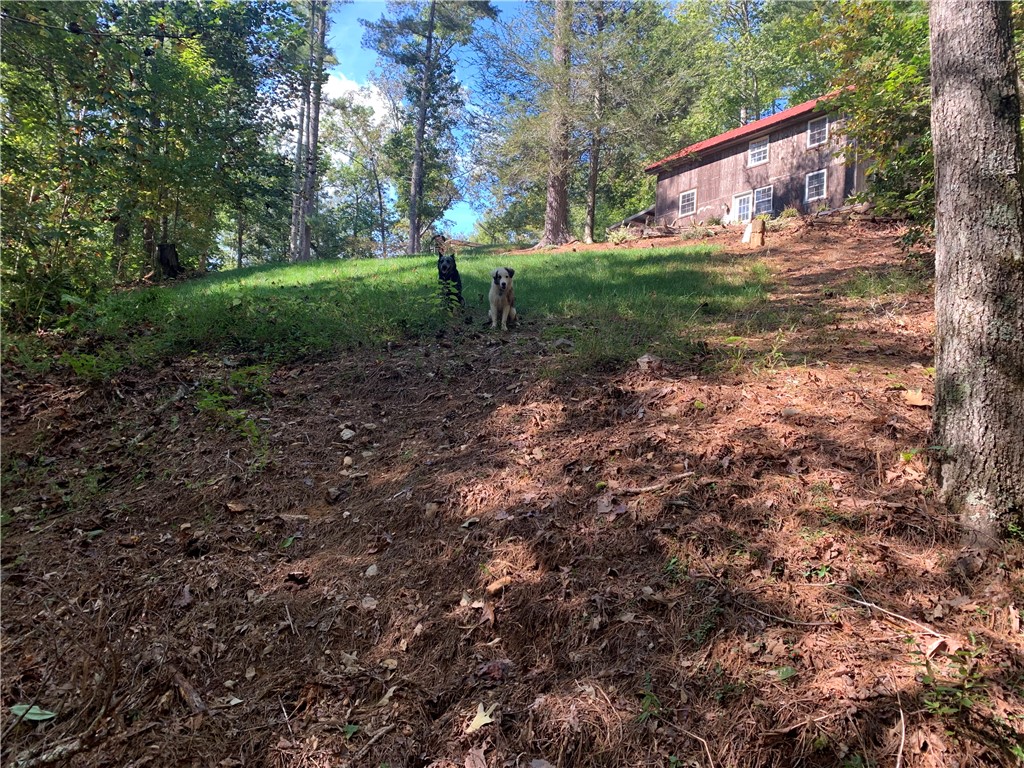 598 Walnut Tree Road Mountain Rest, SC 29664 - Photo 17 of 26 Gallery Image 17