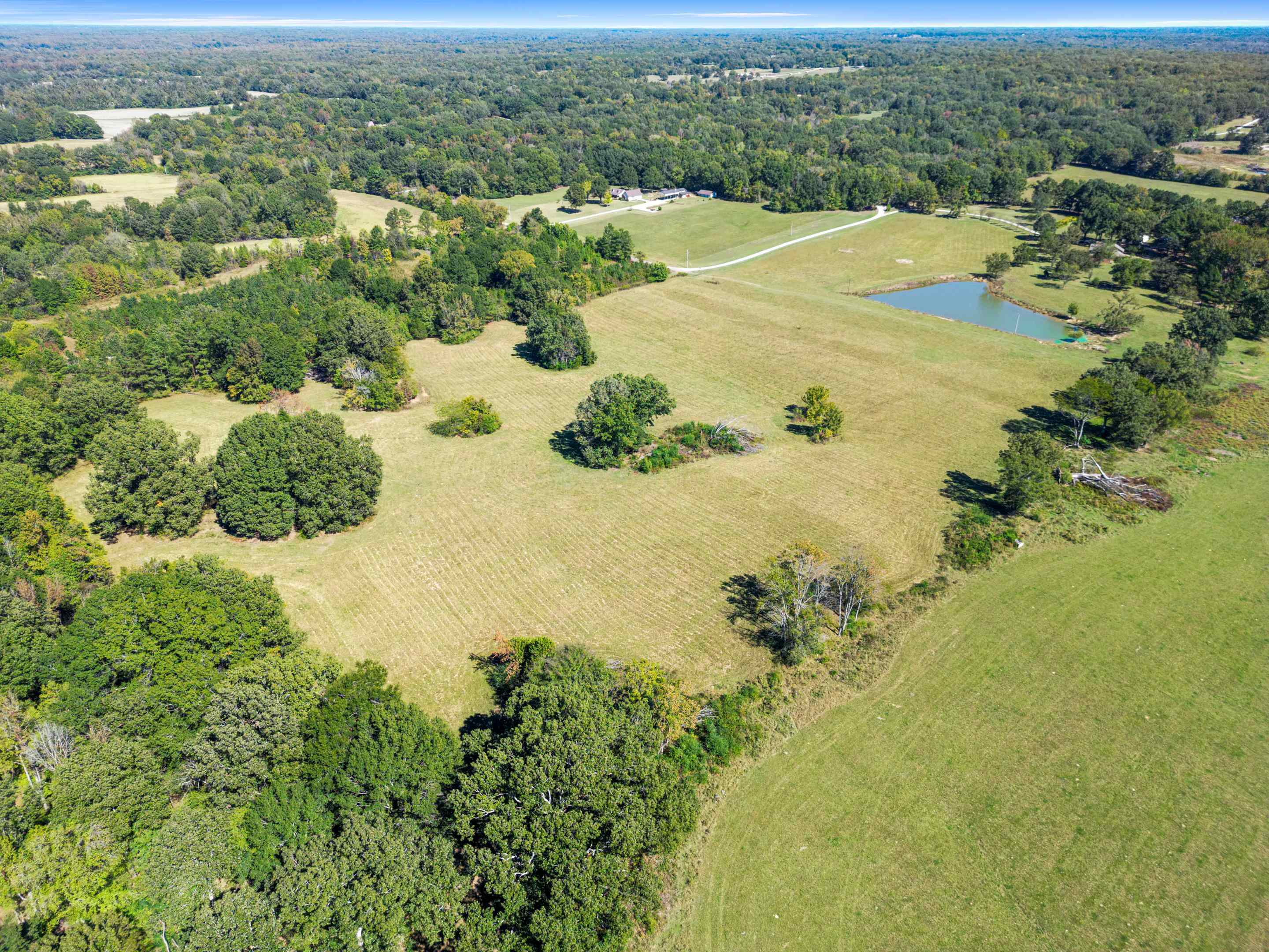 650 Blain Road Rossville, TN 38066 - Photo 2 of 26 Bask in the quiet majesty of this expanse of open fields touched by clusters of trees and kissed by the Tennessee sun. This land feels alive with potential, offering the perfect blend of natural beauty and peaceful seclusion.