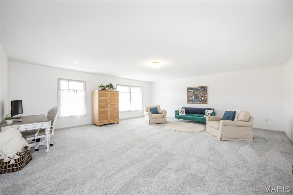 180 Knollhaven Trail O'Fallon, IL 62269 - Photo 24 of 60