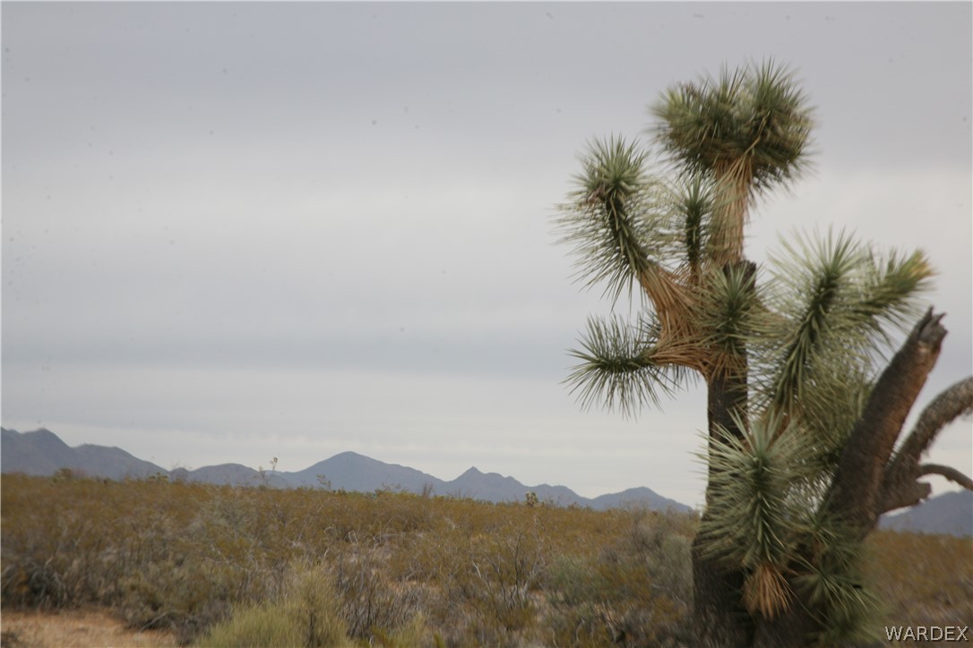 245-18-266 Alan Road Yucca, AZ 86438 - Photo 24 of 54