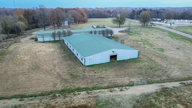 a view of a couches in a backyard