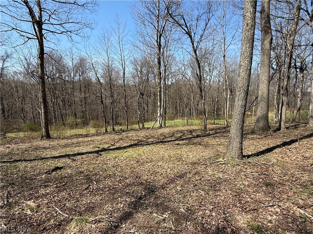 0 Kragel Road Richmond, OH 43944 - Photo 17 of 31