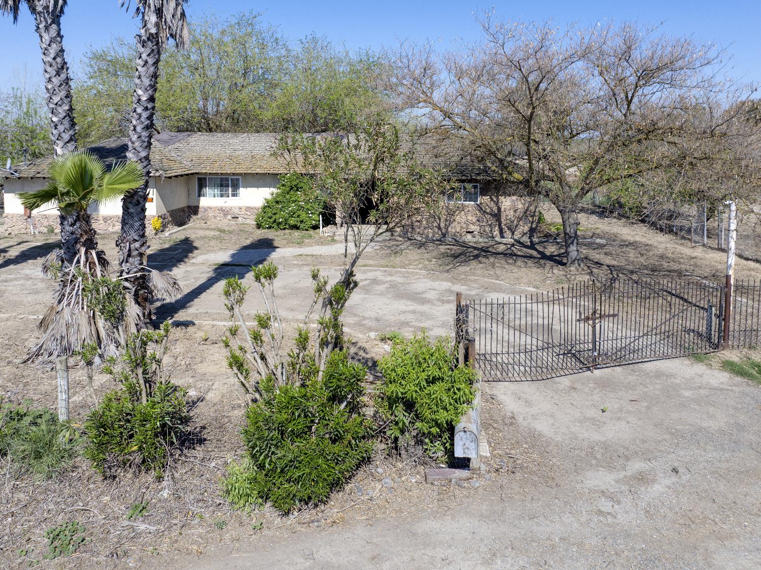 873 Loquat Avenue Patterson, CA 95363 - Photo 30 of 35 a view of a yard with plants and a bench under large trees
