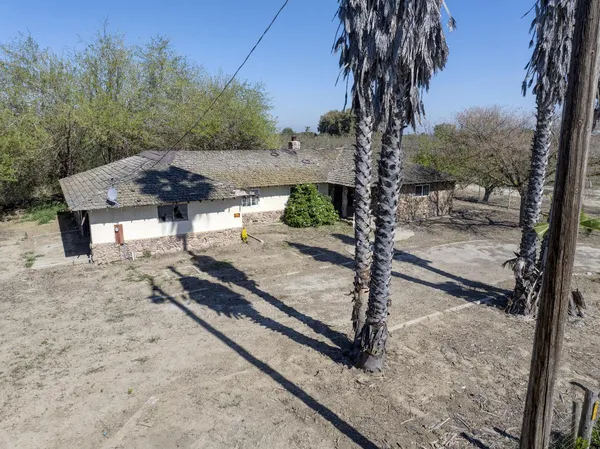 a view of a backyard with a tree