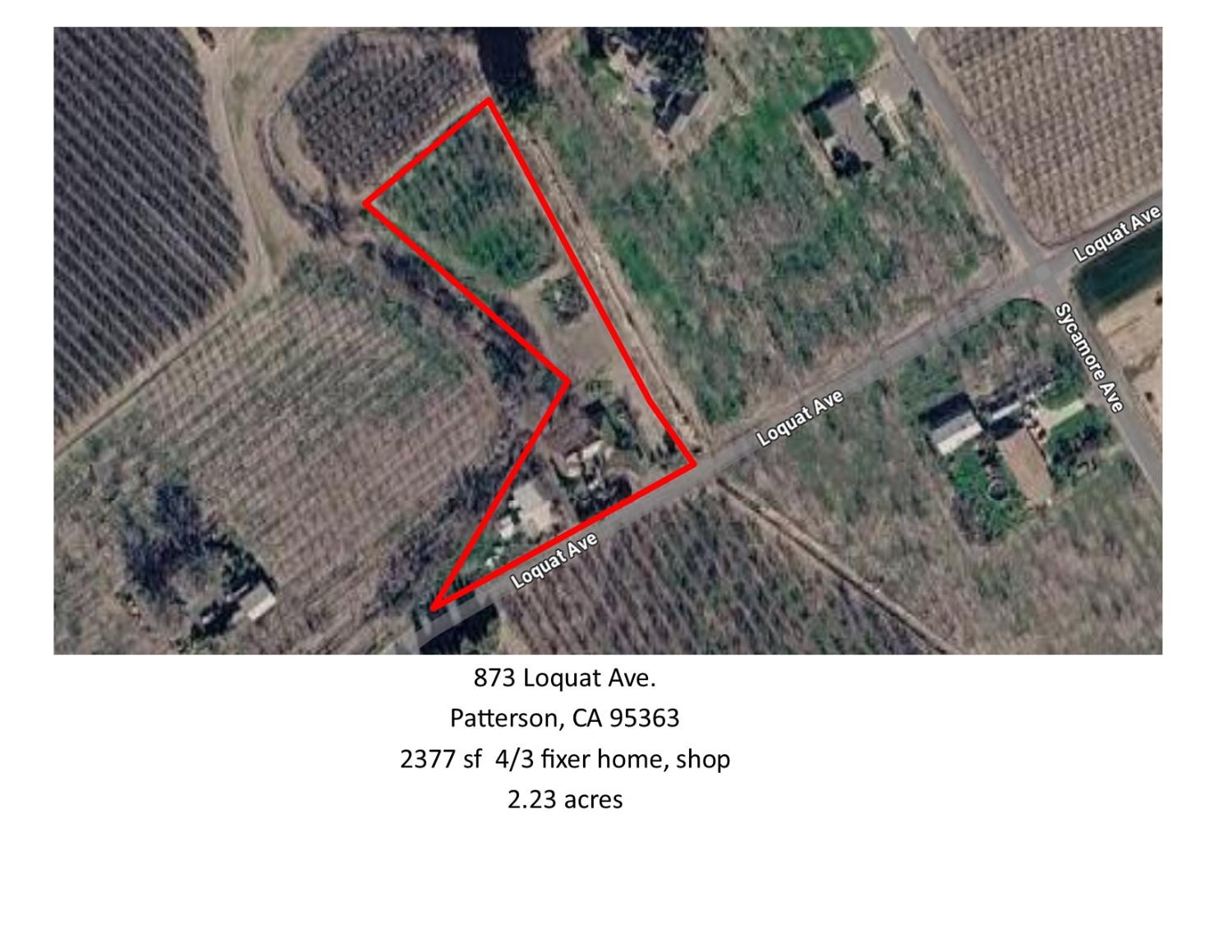 873 Loquat Avenue Patterson, CA 95363 - Photo 10 of 35