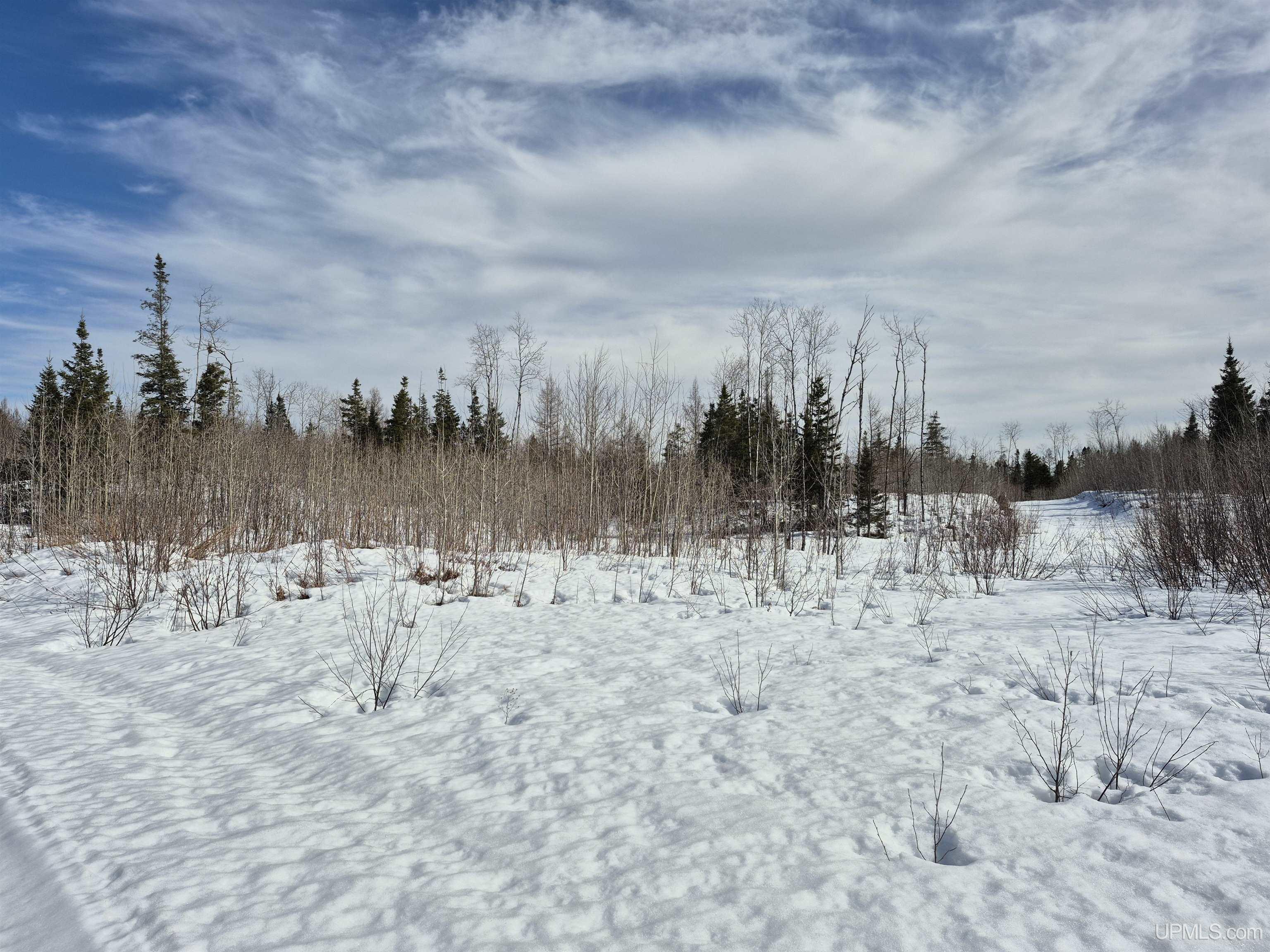 80-acres 80-acres 18th Road Republic, MI 49879 - Photo 2 of 25