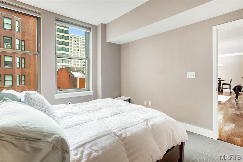 314 North Broadway, Unit 1102 St. Louis, MO 63102 - Photo 29 of 50