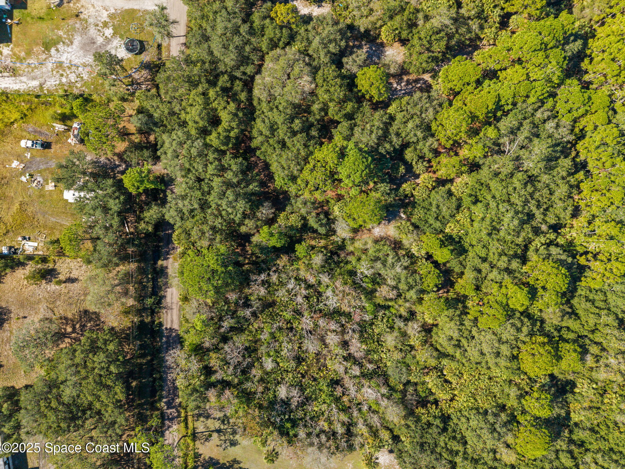 1 Bear Trail Cocoa, FL 32926 - Photo 11 of 13 a view of a tree