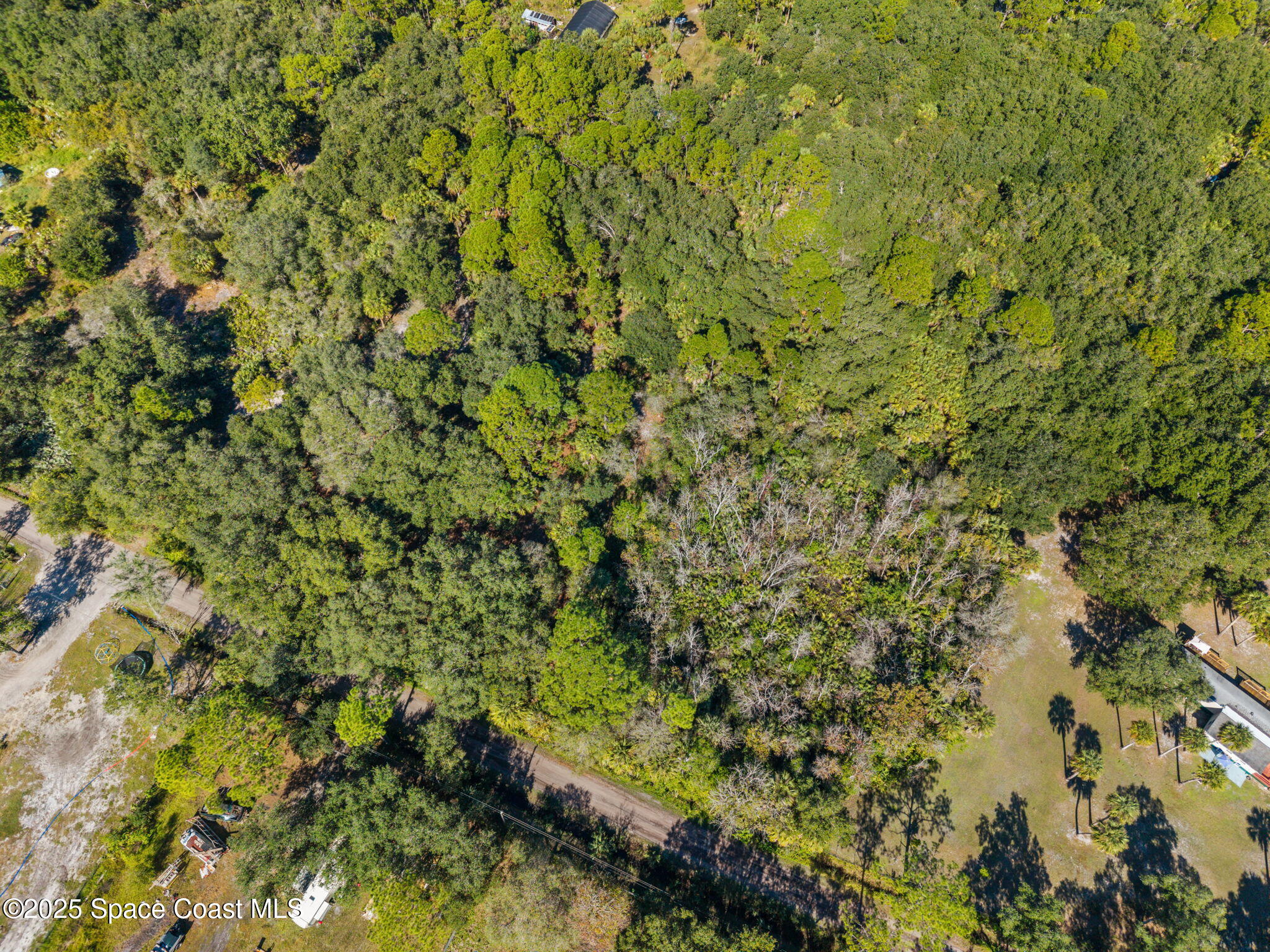 1 Bear Trail Cocoa, FL 32926 - Photo 12 of 13 a view of a tree with a plant