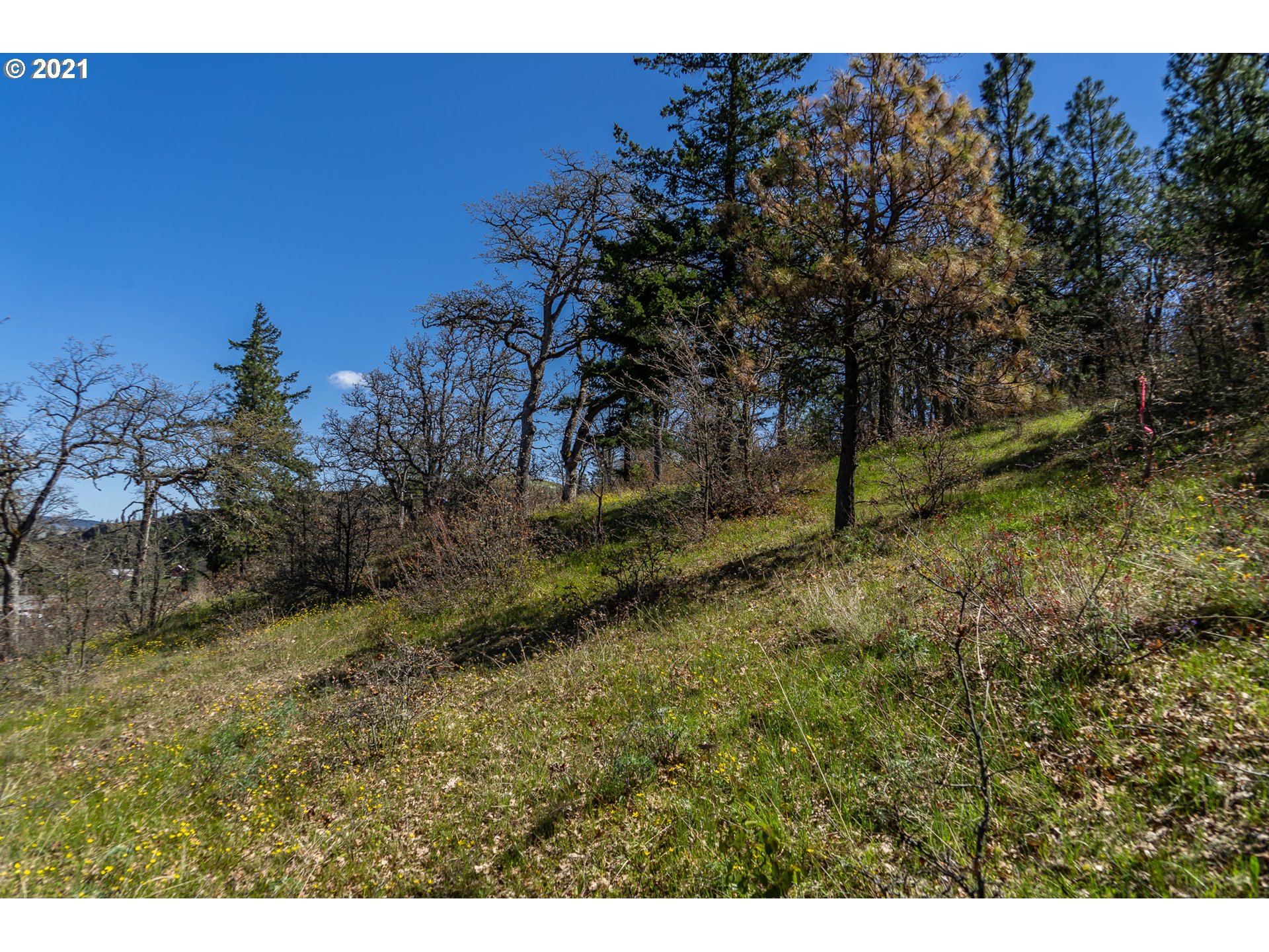 5th Avenue, Unit 27 Mosier, OR 97040 - Photo 1 of 11 Gallery Image 1