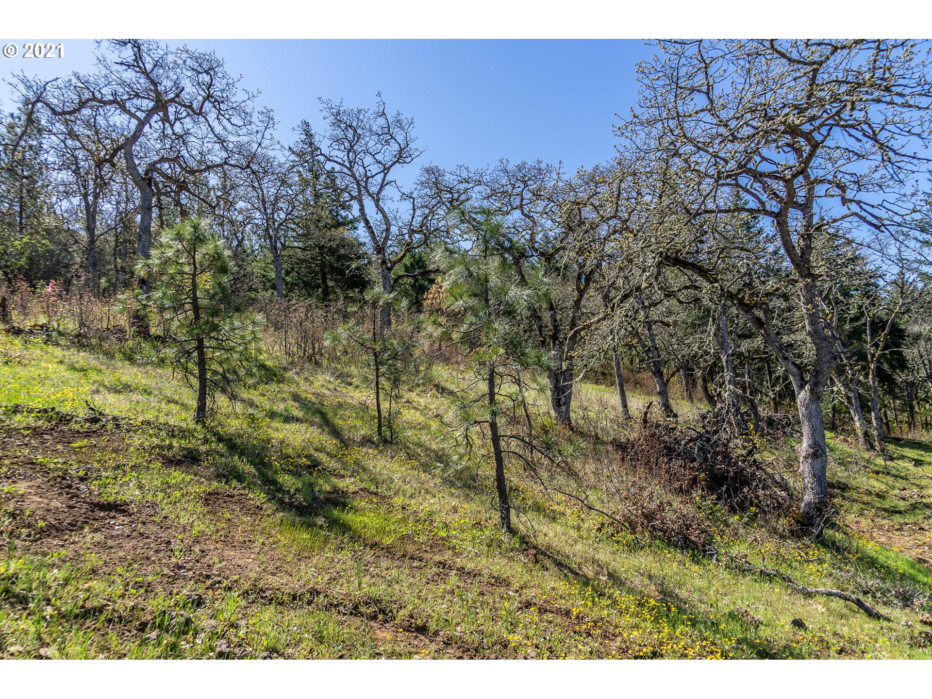 5th Avenue, Unit 27 Mosier, OR 97040 - Photo 6 of 11 Gallery Image 6