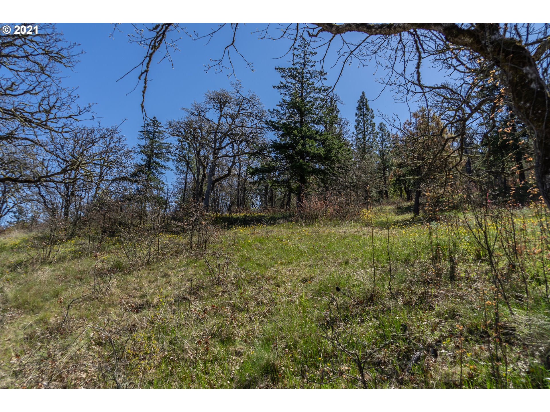 5th Avenue, Unit 27 Mosier, OR 97040 - Photo 9 of 11 Gallery Image 9
