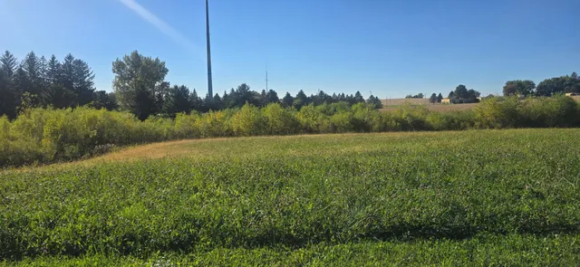 $50,000 | Tbd ( Lot 1-blk 1) Tbd ( Avenue Southeast, Harmony, MN 55939