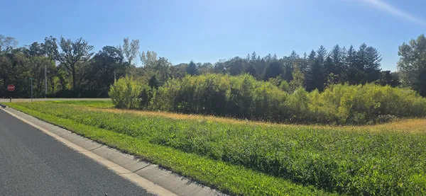 $50,000 | Tbd ( Lot 1-blk 1) Tbd ( Avenue Southeast, Harmony, MN 55939
