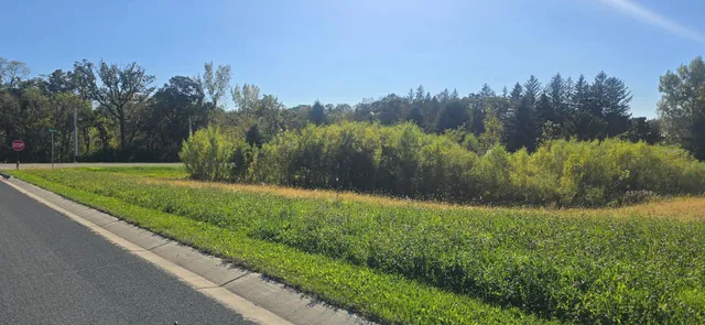 $50,000 | Tbd ( Lot 1-blk 1) Tbd ( Avenue Southeast, Harmony, MN 55939