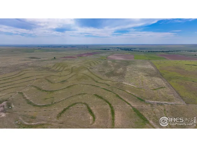 a black and white photo of a park