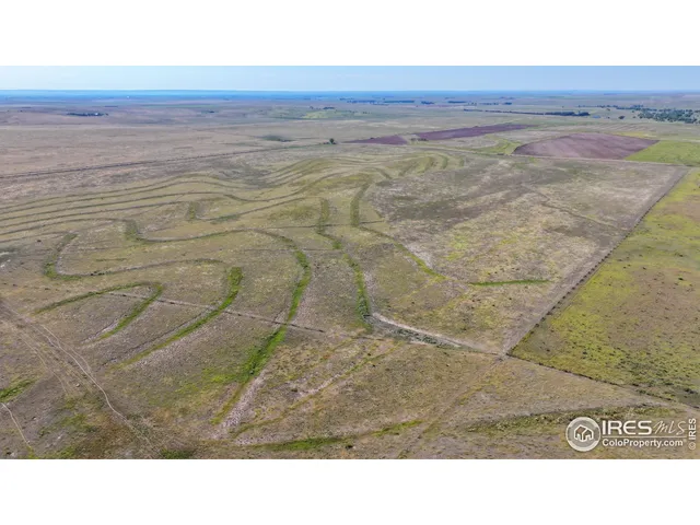 a black and white photo of a beach