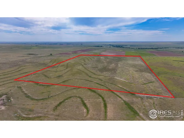 a black and white photo of a park