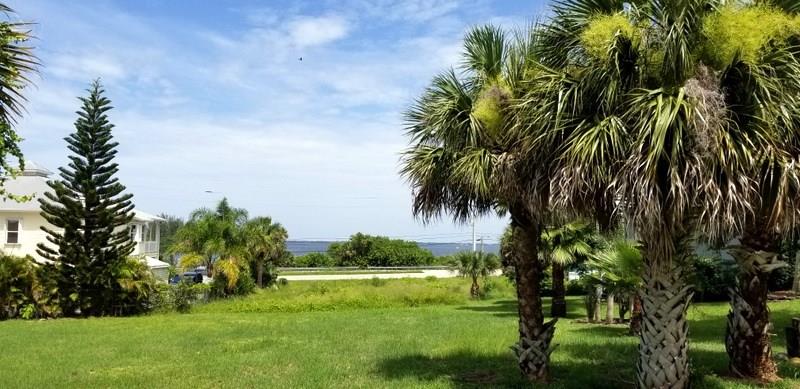 0 Blue Shore Road Grant Valkaria, FL 32949 - Photo 1 of 5