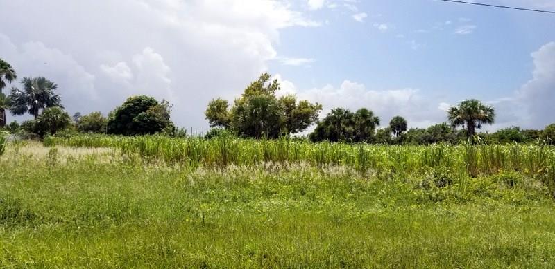 0 Blue Shore Road Grant Valkaria, FL 32949 - Photo 2 of 5