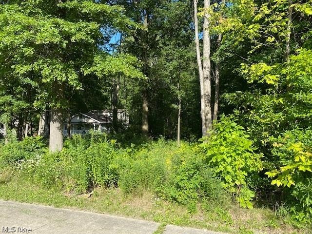Vl Stearns Road North Olmsted, OH 44070 - Photo 1 of 3
