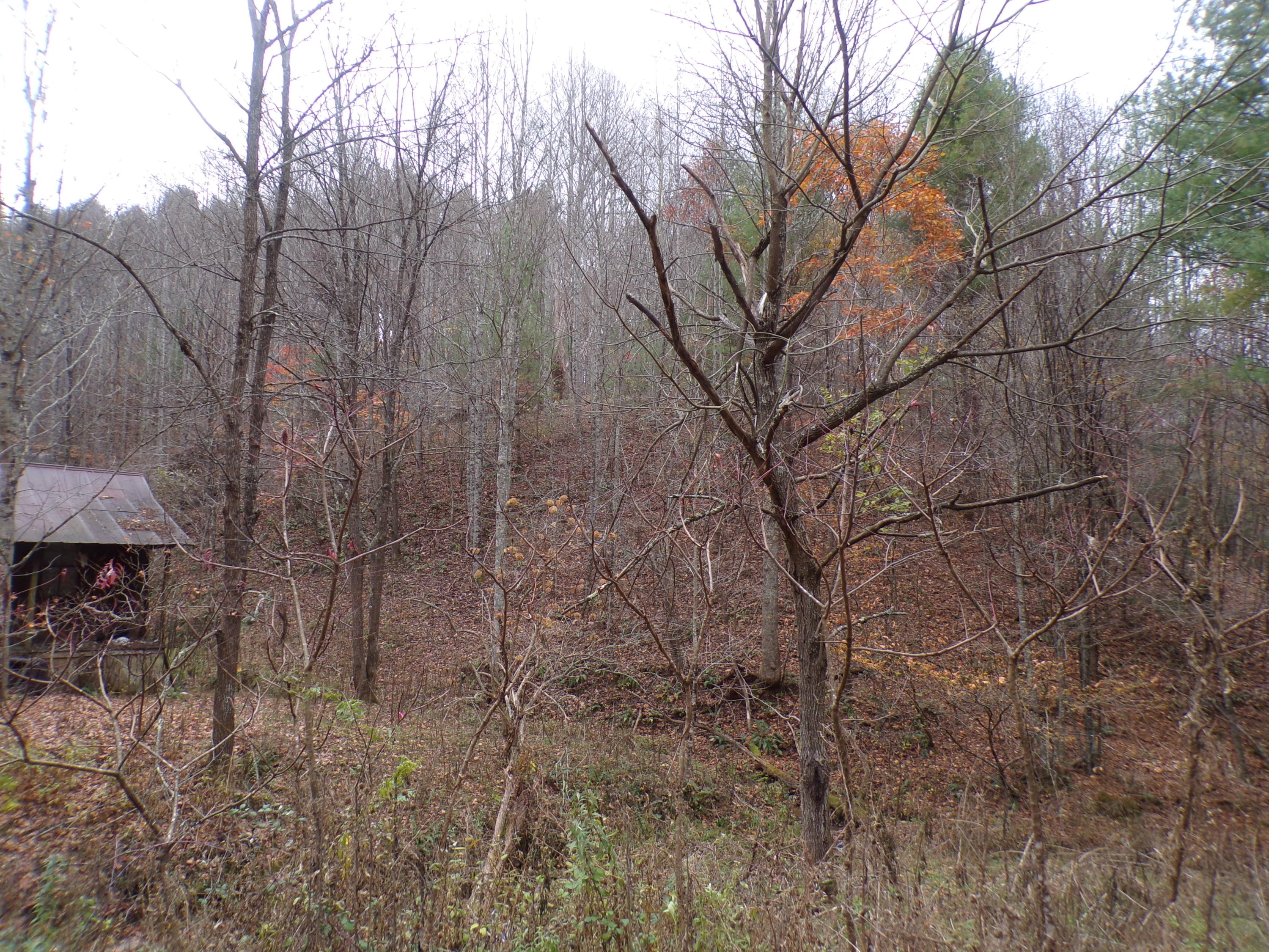 12.31+/- Acre Tract