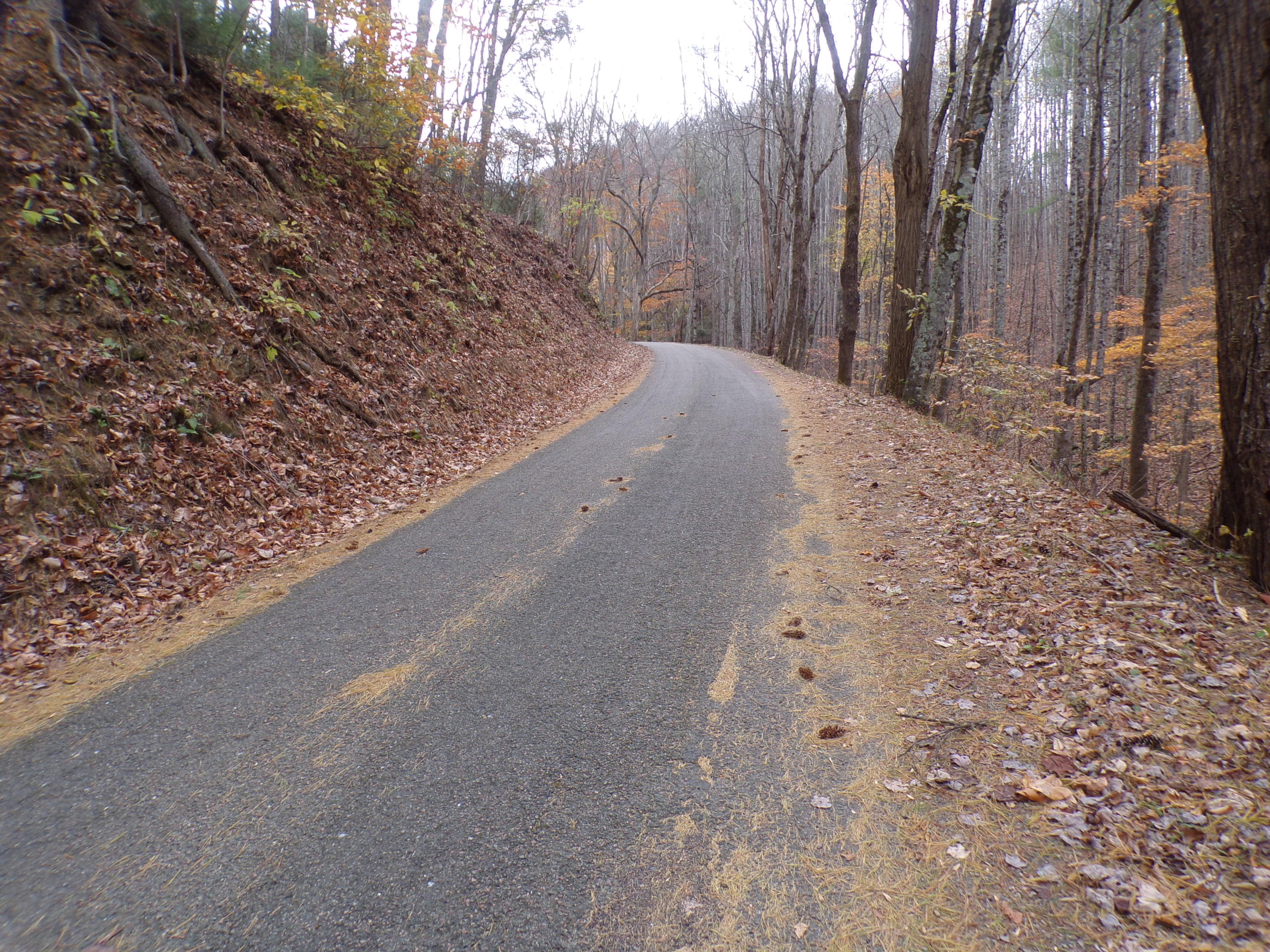 Tbd Brushy Fork Road Trade, TN 37691 - Photo 15 of 15 COUNTRY ROADS!!