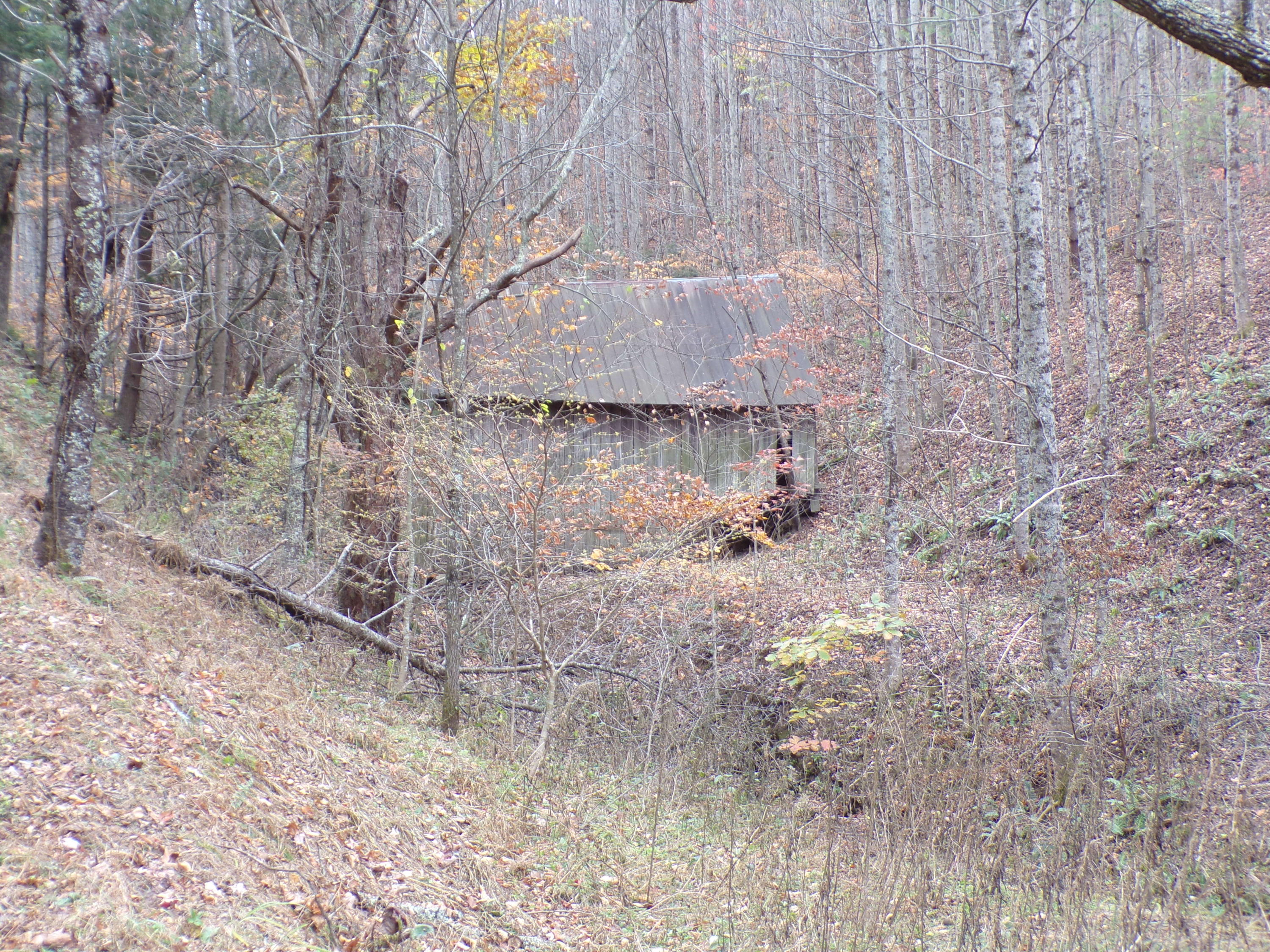 RECLAIM BARN WOOD