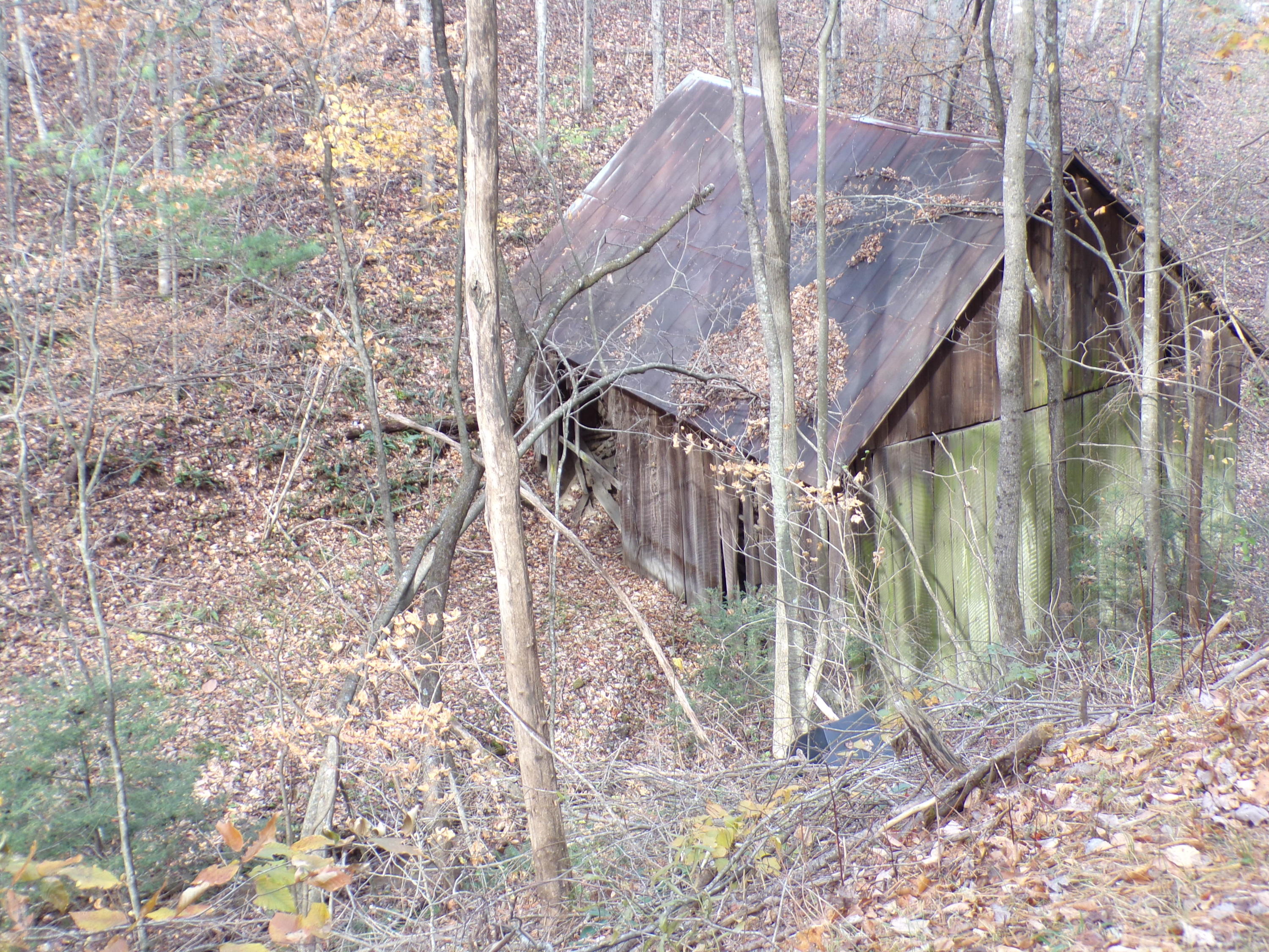 Tbd Brushy Fork Road Trade, TN 37691 - Photo 9 of 15 VIEW FROM ROAD