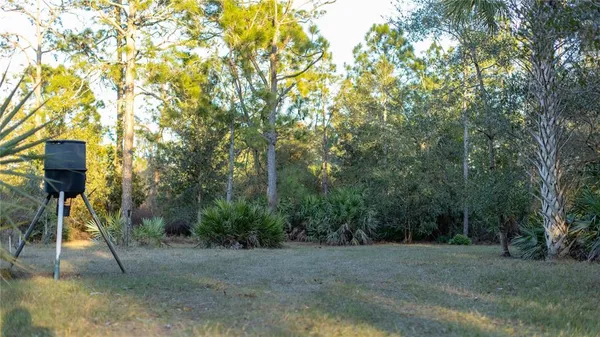 a view of a park
