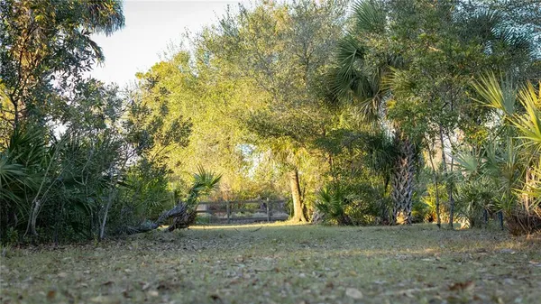 a view of dirt yard with a trees