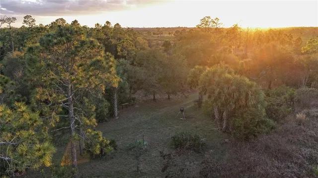 a view of a dry yard with mountains in the background