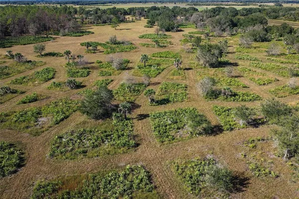 a view of a field with a yard