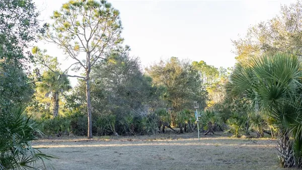 a view of outdoor space with trees
