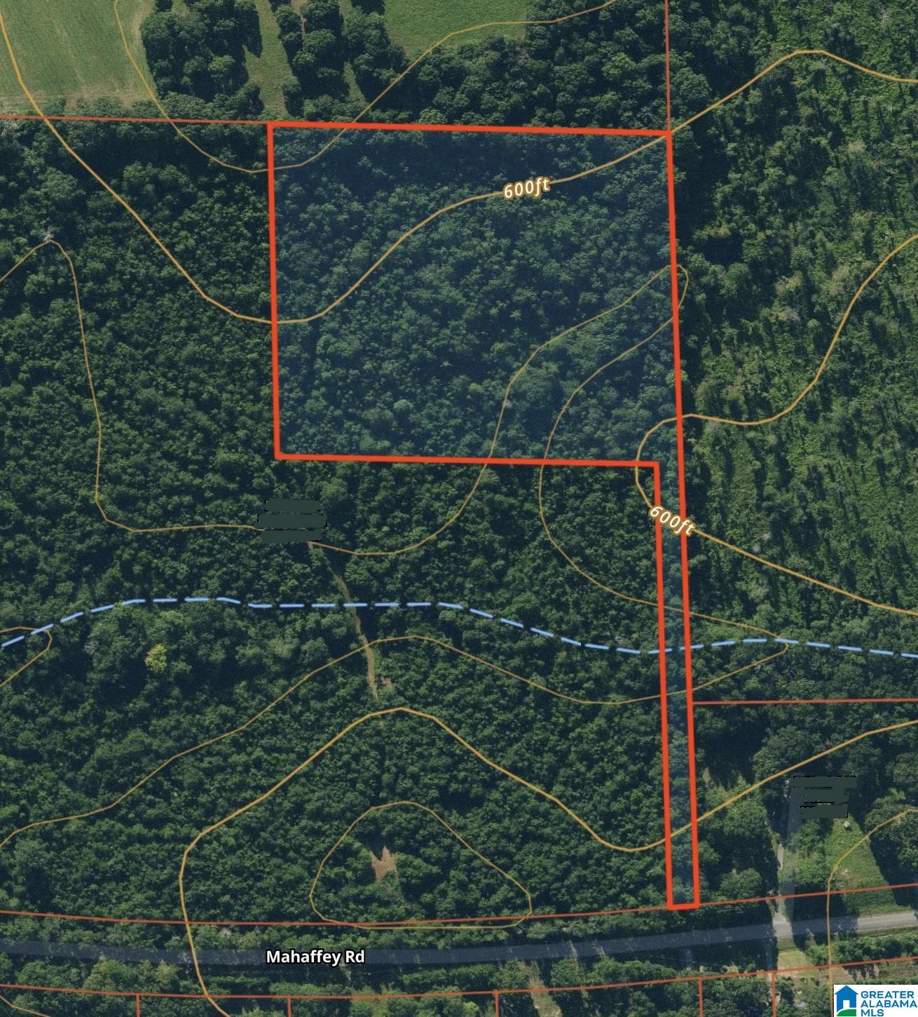 9-acres Mahaffey Road, Unit 9 ACRES Eastaboga, AL 36260 - Photo 6 of 7