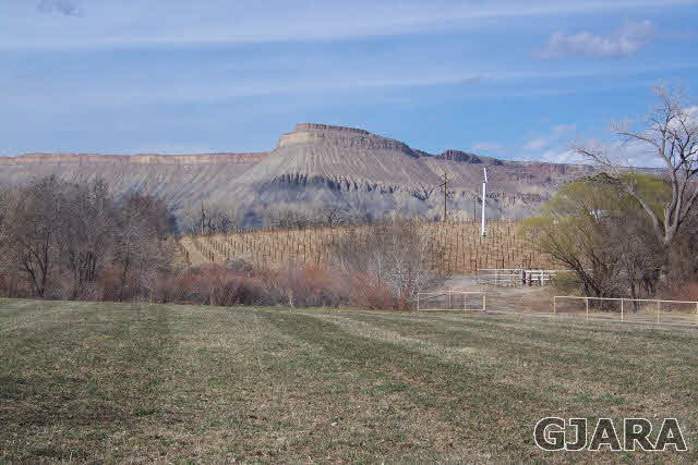 3417 D Road Palisade, CO 81526 - Photo 5 of 16 a view of a backyard