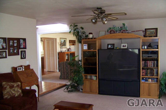 3417 D Road Palisade, CO 81526 - Photo 8 of 16 a living room with furniture and a potted plant