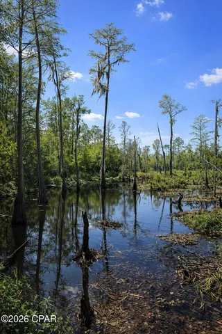 $65,000 | 1013 Fairview Road, Alford, FL 32420