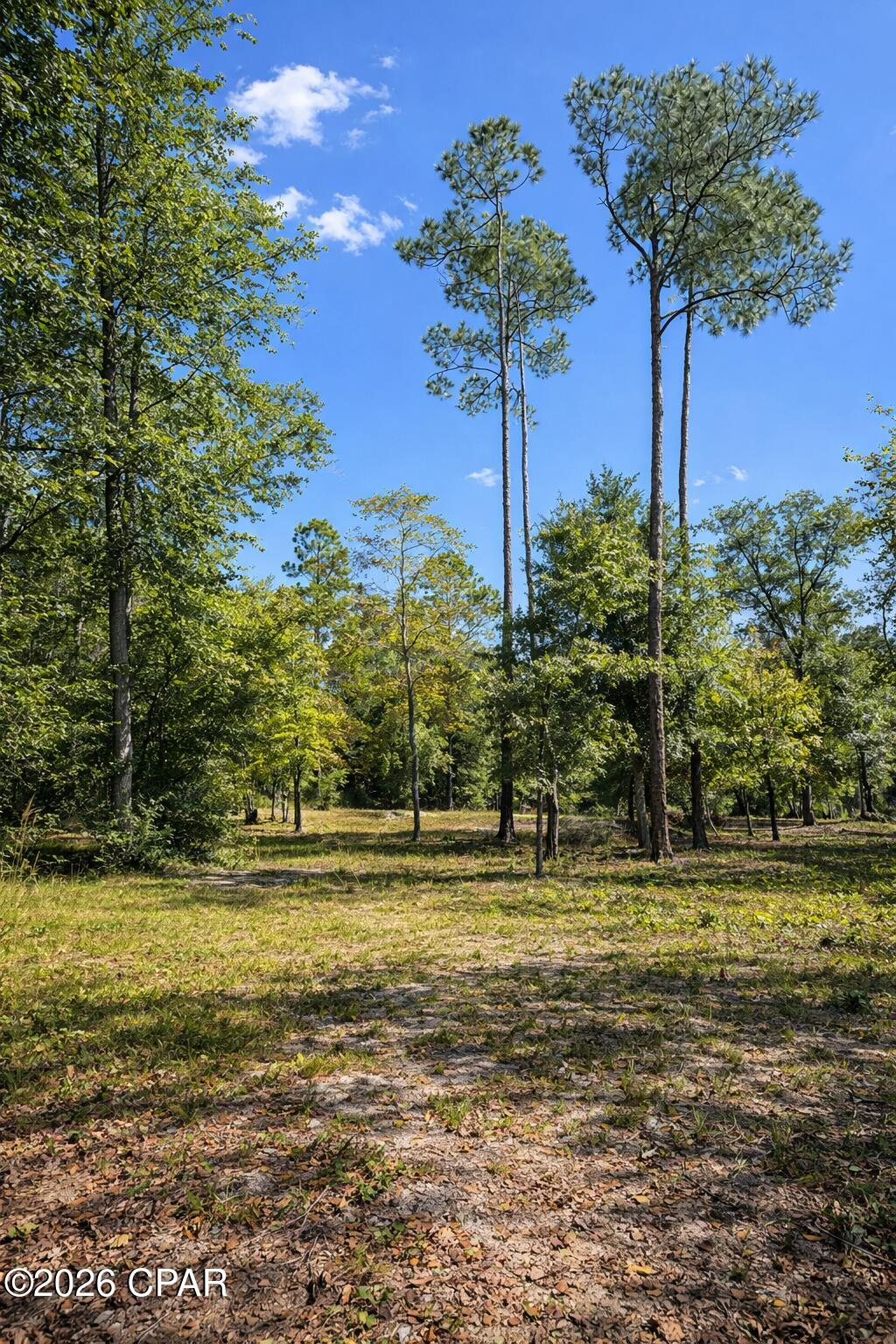 1013 Fairview Road Alford, FL 32420 - Photo 8 of 13