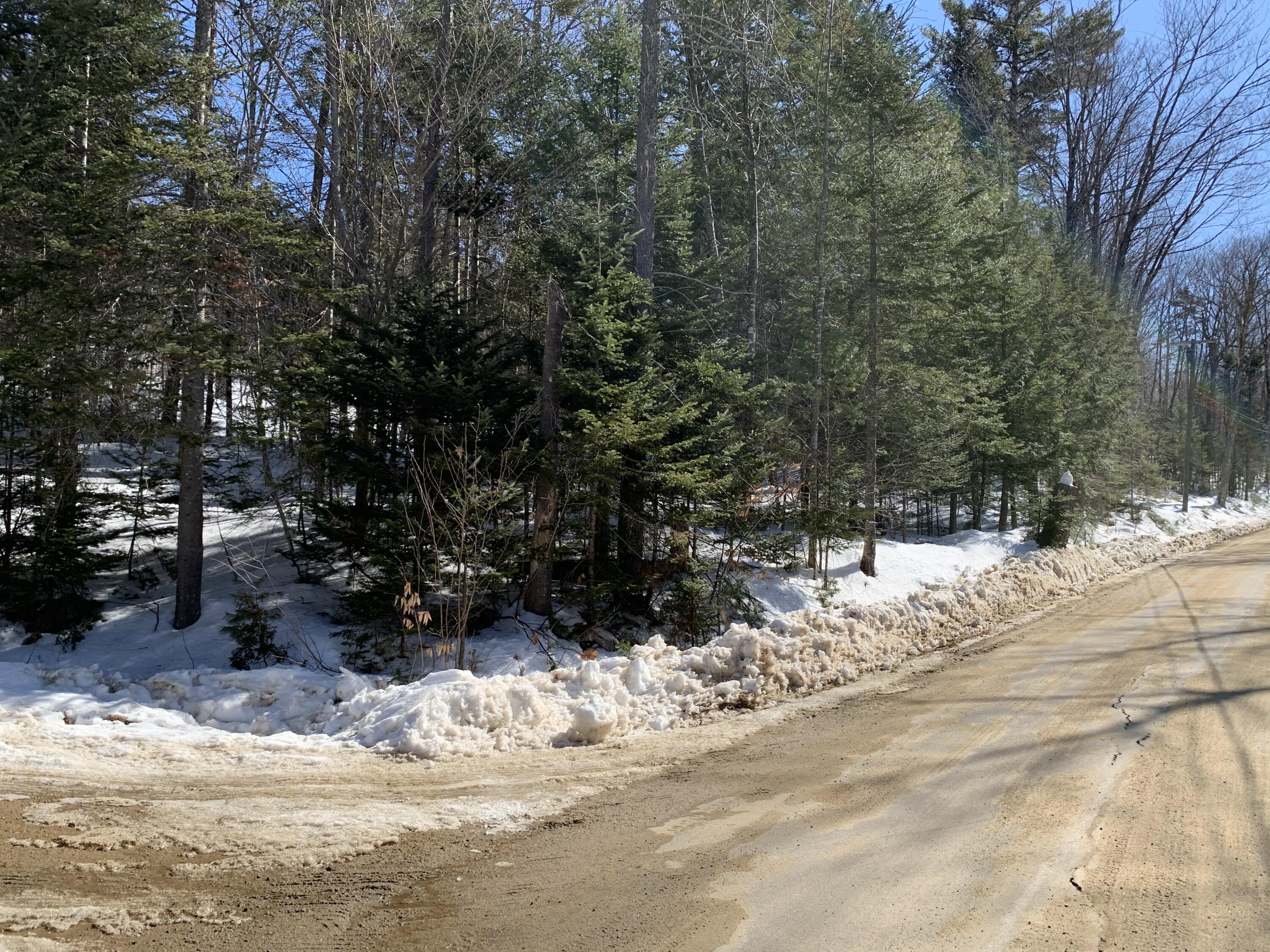 Tbd Howard Pond Road Hanover, ME 04237 - Photo 4 of 26 AF28E420-A0A2-4A51-A6DC-0517A11EAFD2