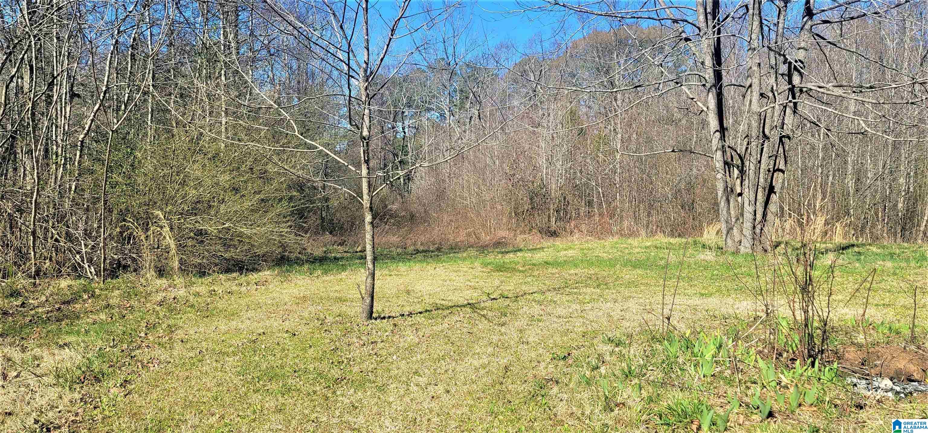 14511 Highway 46 Heflin, AL 36264 - Photo 14 of 36