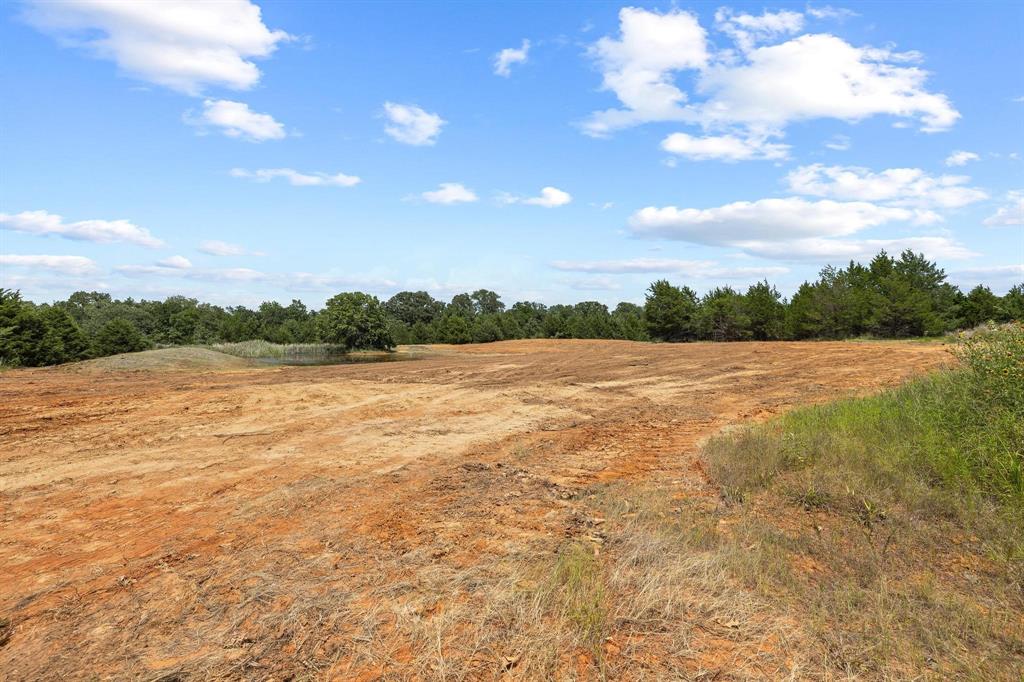 1445 Cedar Mills Road Gordonville, TX 76245 - Photo 16 of 28