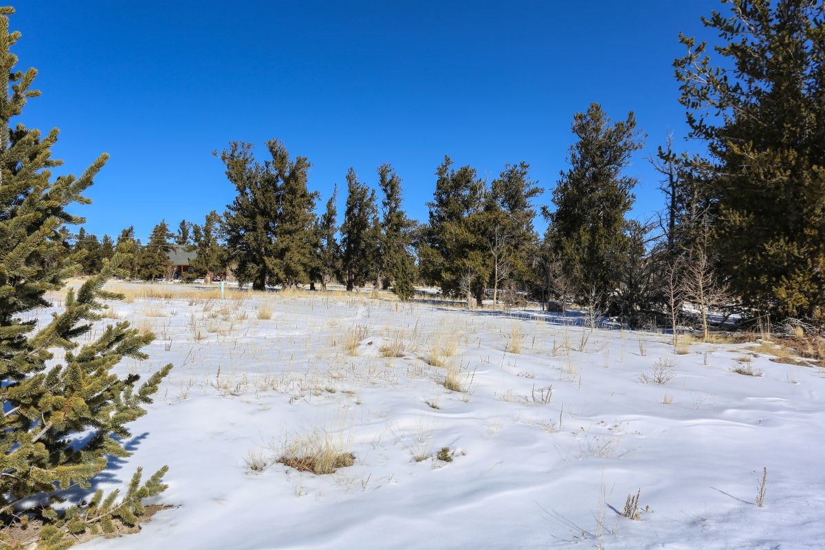 237 High Creek Road Fairplay, CO 80440 - Photo 10 of 15 Gallery Image 10