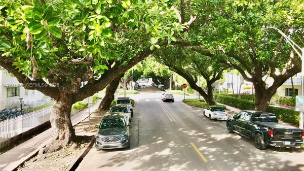 a park view with a tree