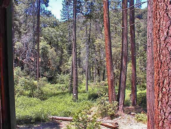 48515 Todd Eymann Road Miramonte, CA 93641 - Photo 25 of 29 Gallery Image 25
