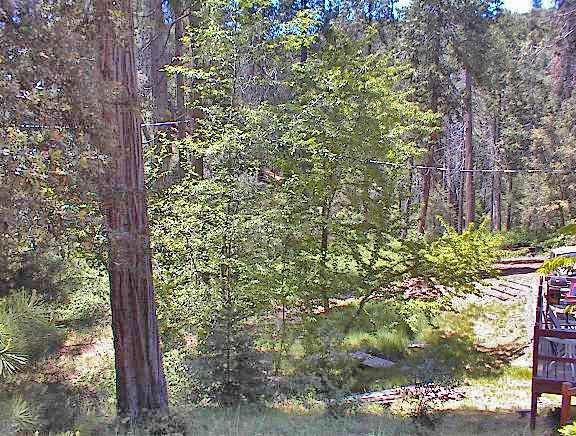 48515 Todd Eymann Road Miramonte, CA 93641 - Photo 26 of 29 Gallery Image 26