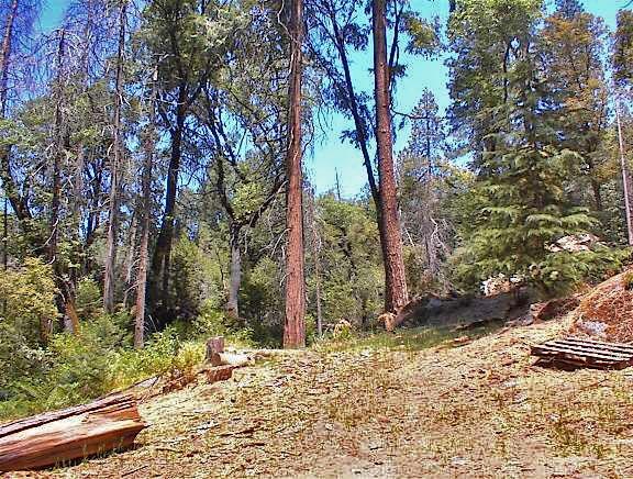 48515 Todd Eymann Road Miramonte, CA 93641 - Photo 28 of 29 Gallery Image 28